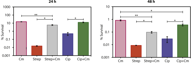 Figure 3