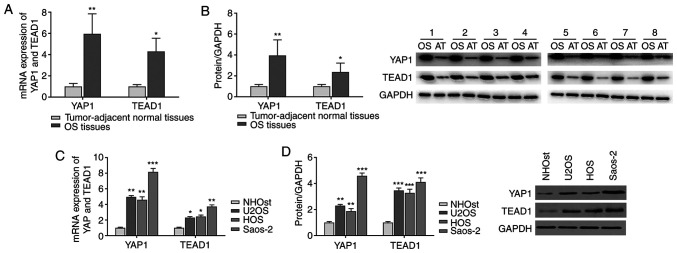 Figure 1.