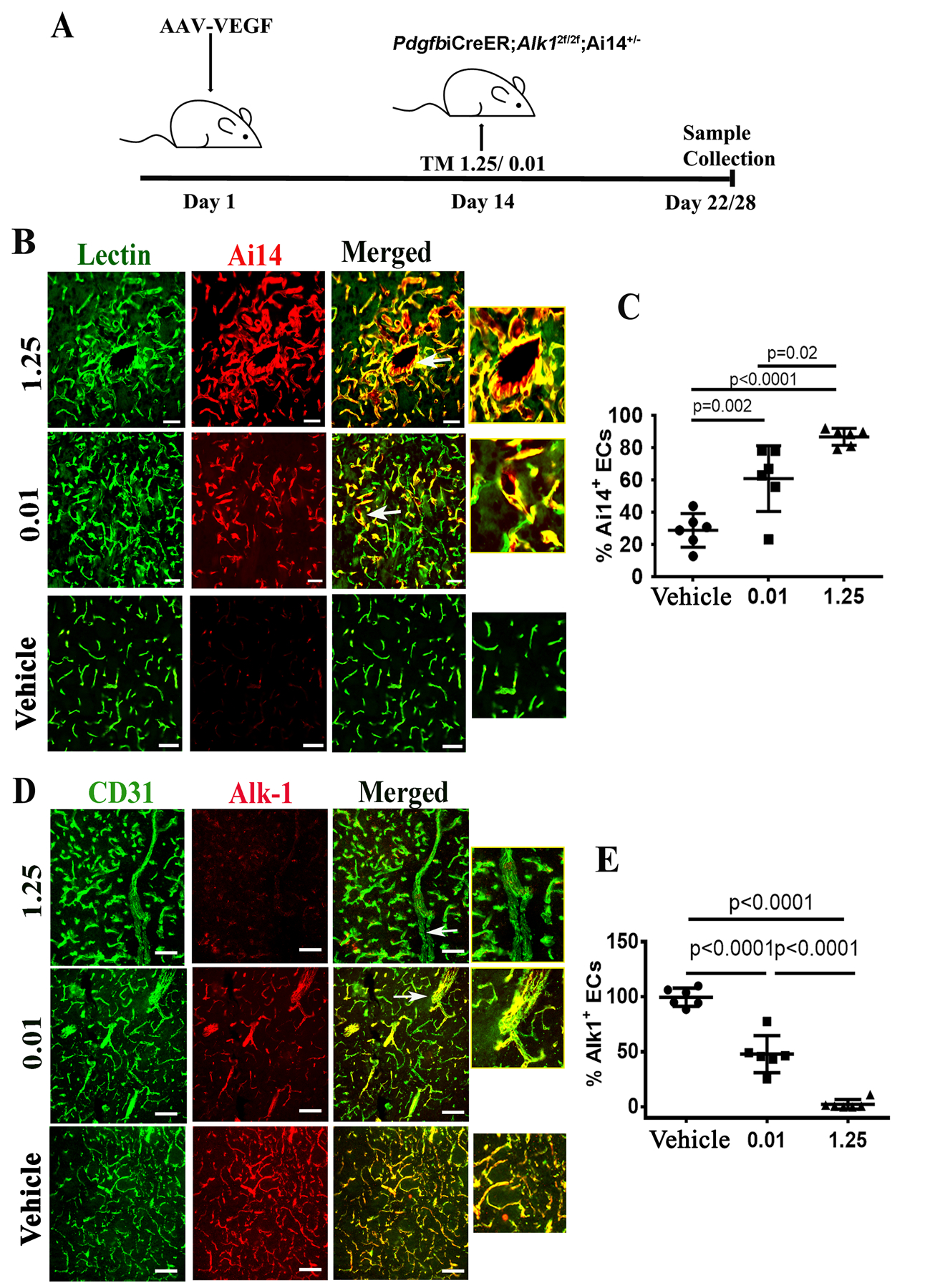 Fig. 4: