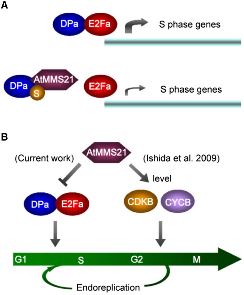 Figure 7.