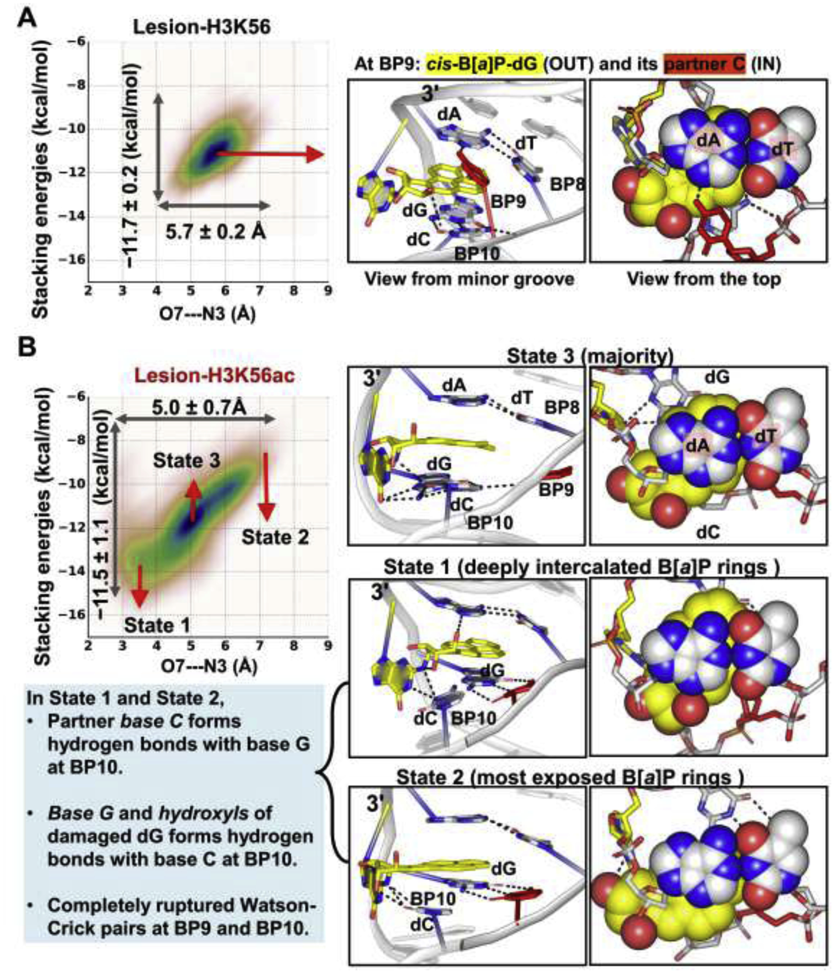 Figure 6: