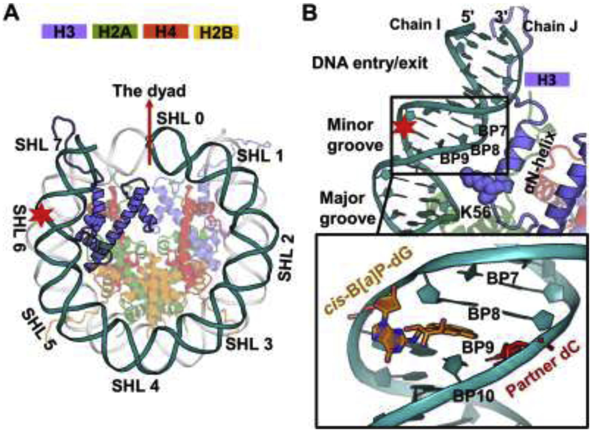 Figure 1: