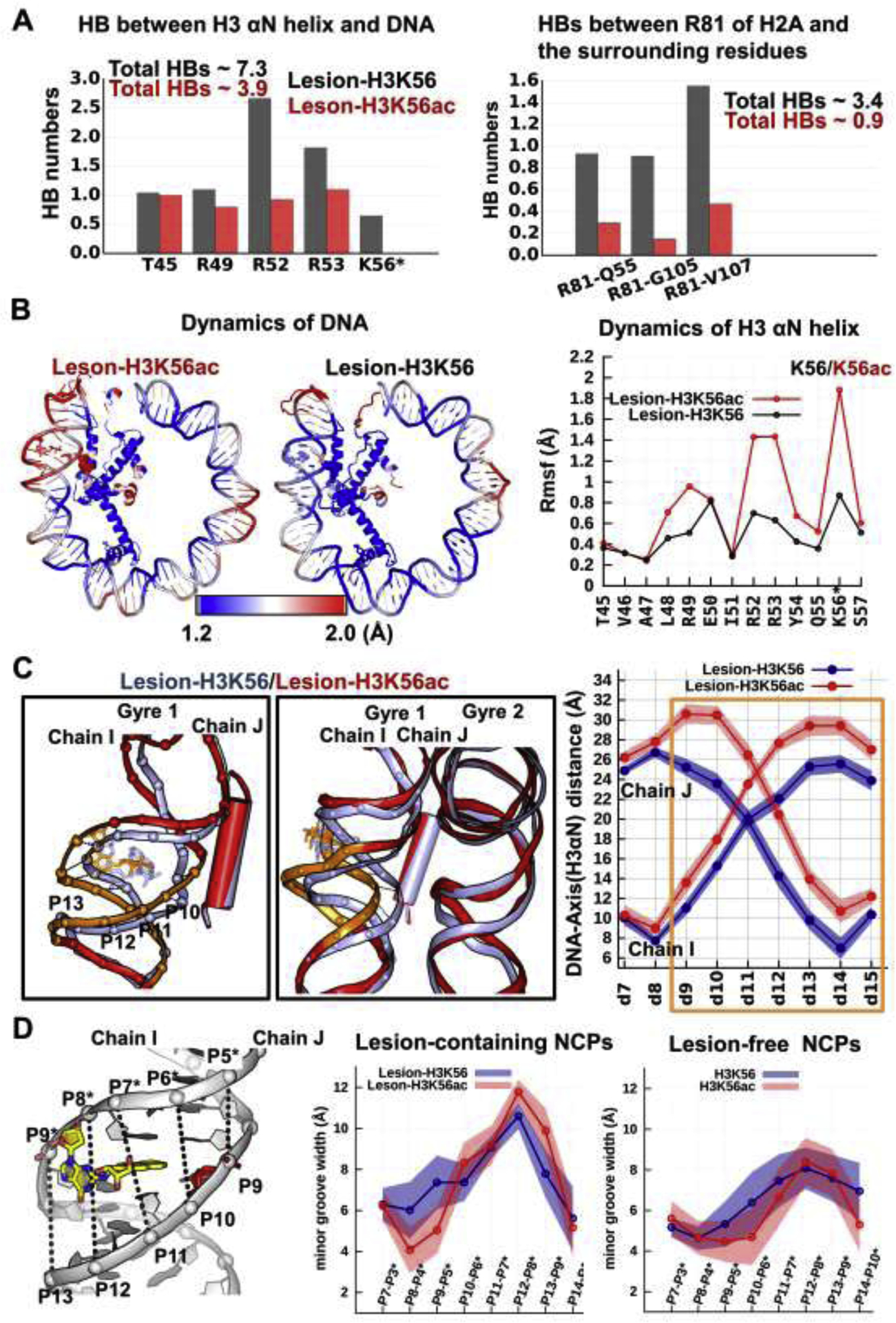 Figure 4: