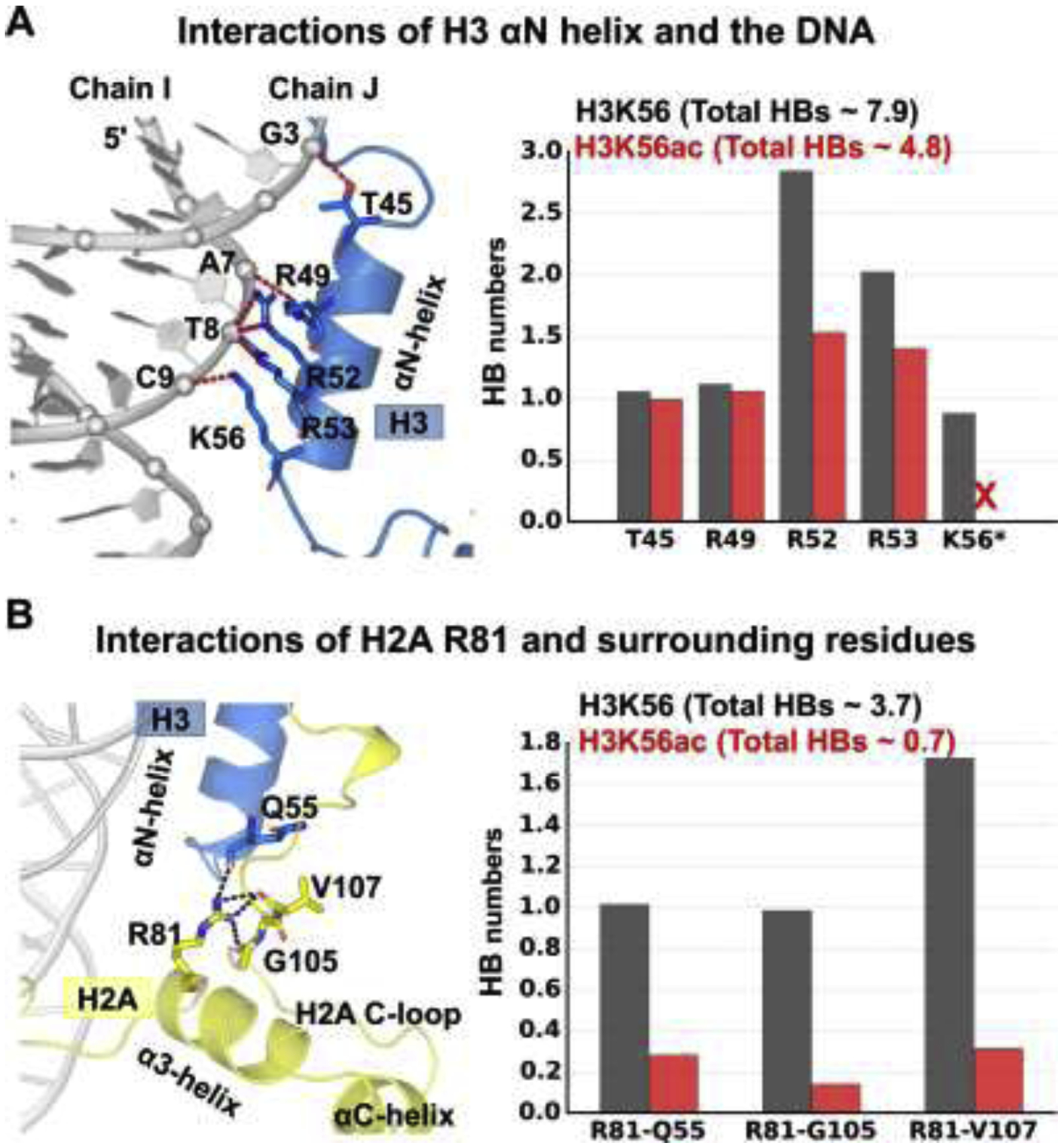 Figure 2: