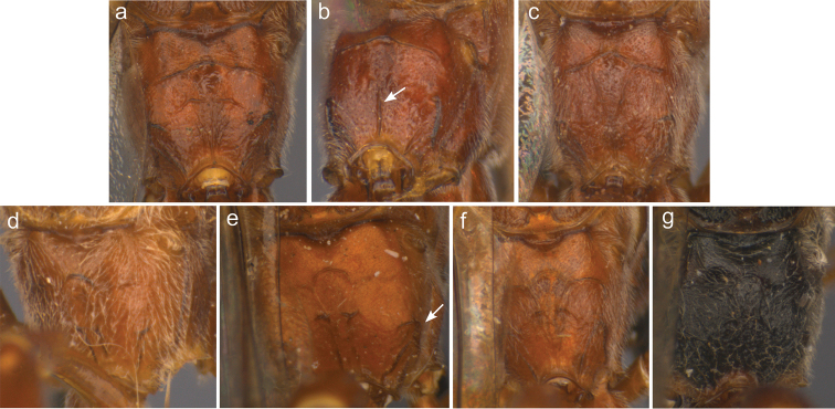 Figure 10.