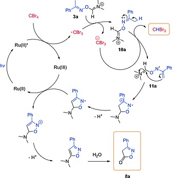 Scheme 6