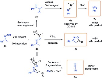 Scheme 5