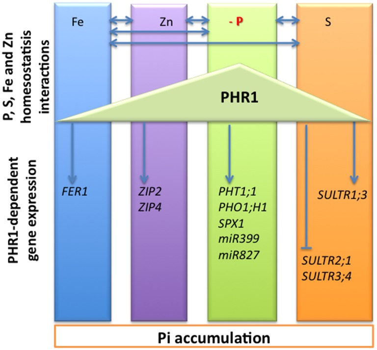 FIGURE 3