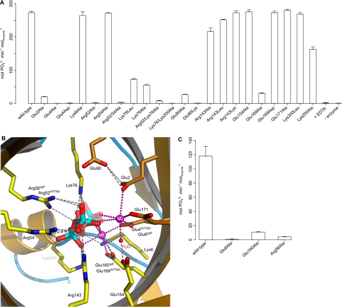 FIGURE 6.