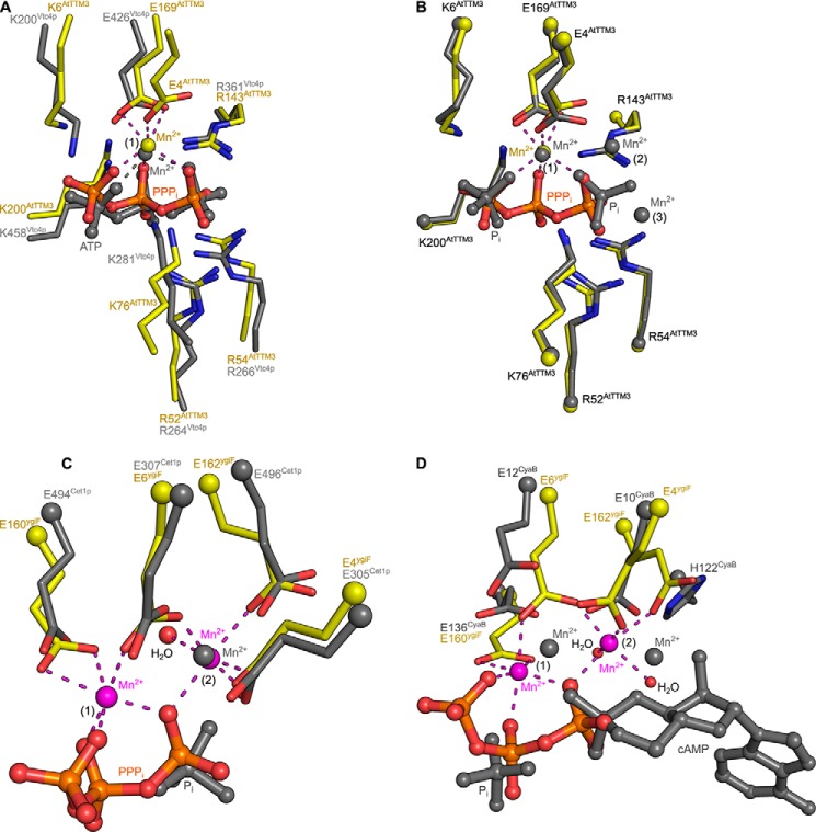 FIGURE 4.