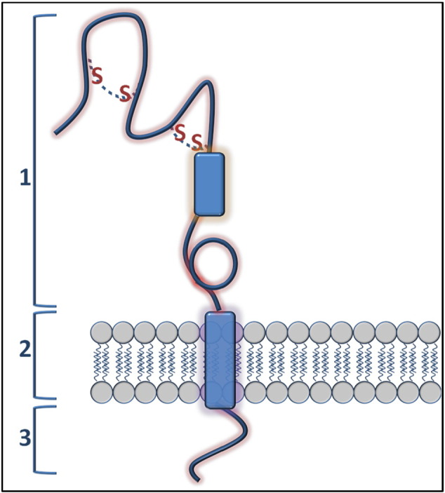 Figure 1