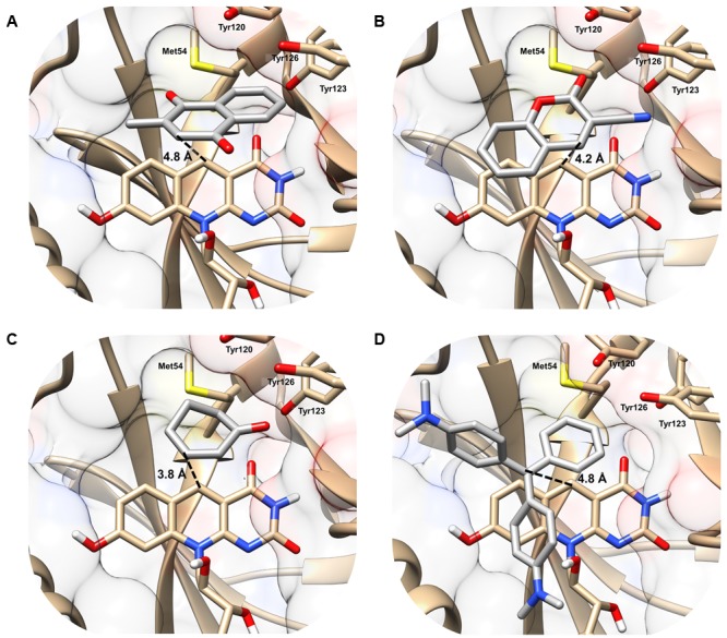 FIGURE 2