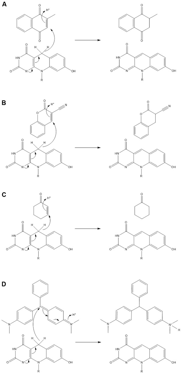 FIGURE 4