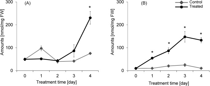 Fig. 4. GABA quantity in the rice plants during acetic acid treatment (30 mM, 4 days; A, in shoots; B, in roots). Data are the mean±S.E. Asterisks indicate significant differences relative to the control (p<0.05 using Welch’s t-test, n=3–4). FW: fresh weight.