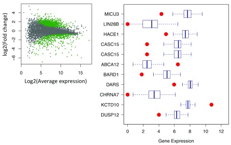 Figure 11. 