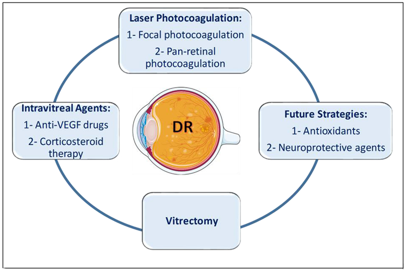 Figure 3: