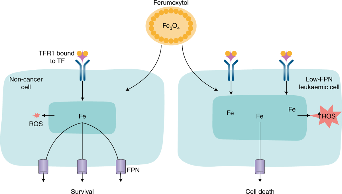 Fig. 1 |