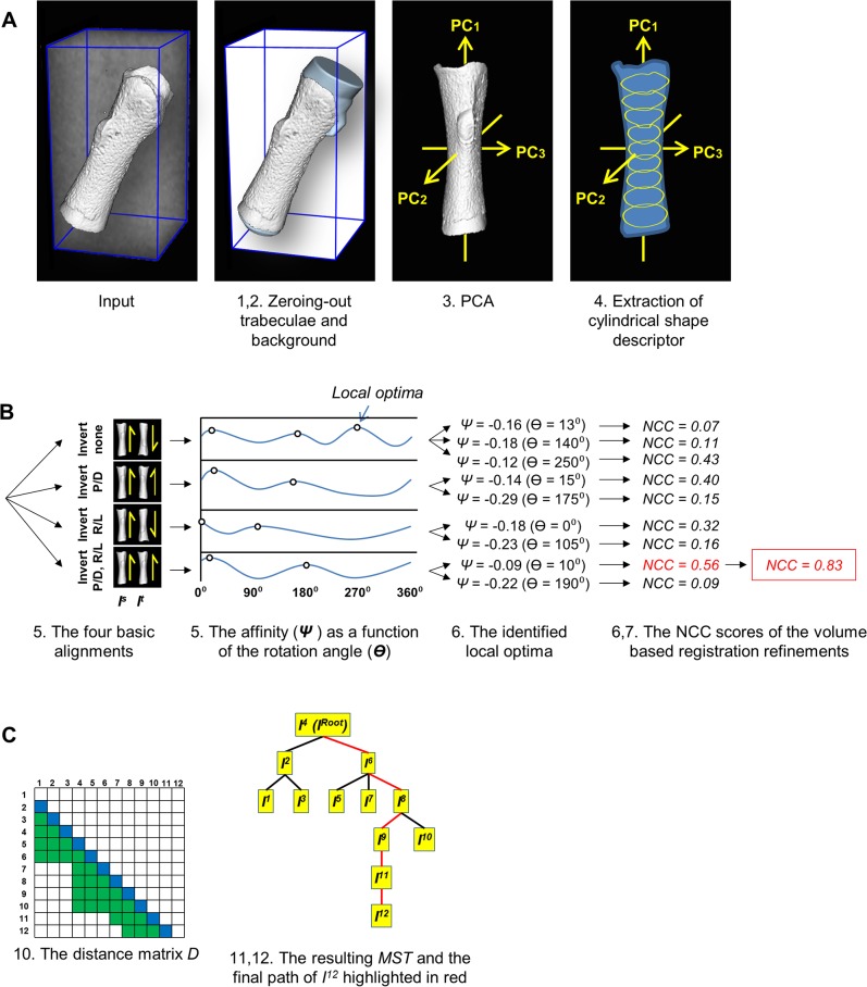 Fig 4