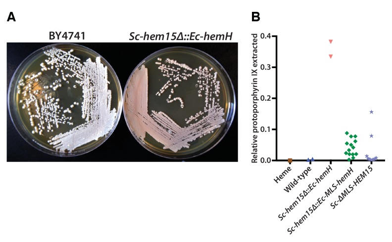 Figure 5.