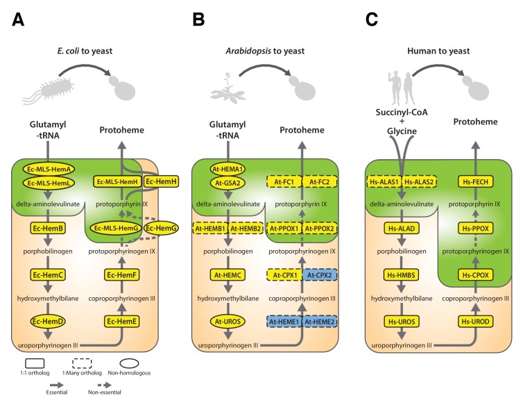 Figure 6.