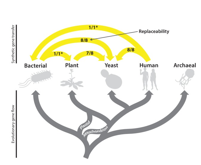 Figure 7.