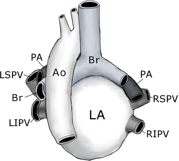 Fig 5