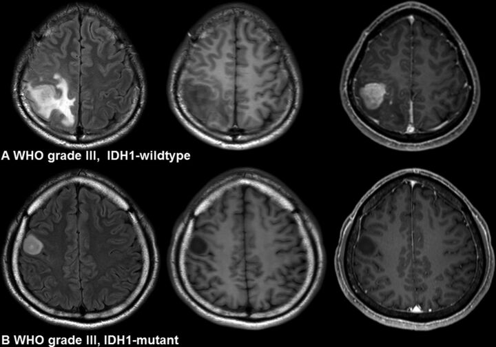 Fig 1.