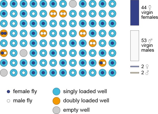 Figure 4—figure supplement 1.