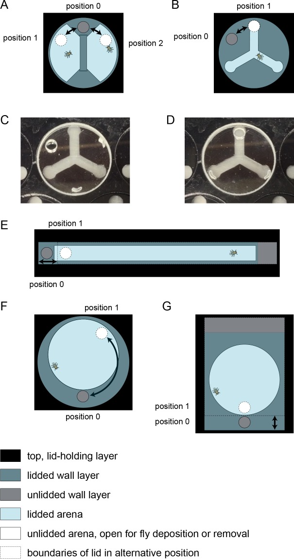 Figure 3—figure supplement 1.