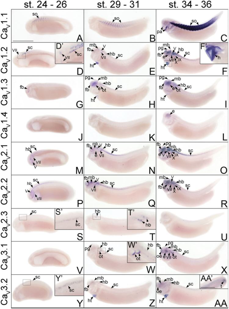 Fig. 2.