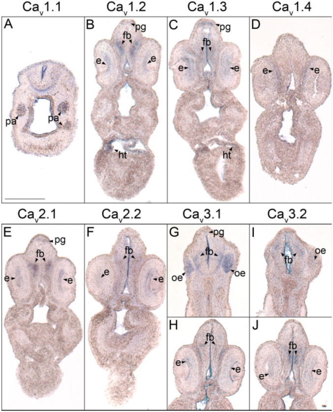 Fig. 3.