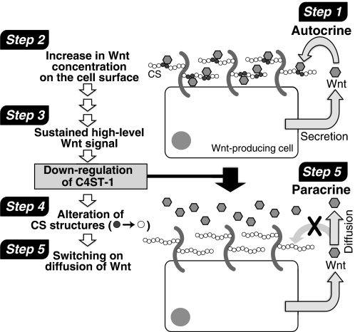 FIGURE 10.