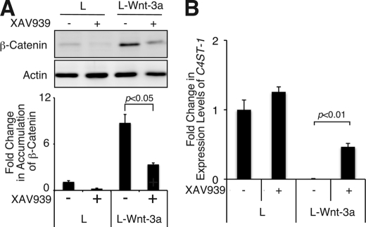 FIGURE 9.