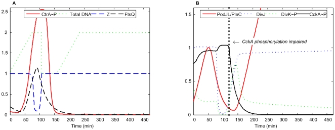 Figure 13