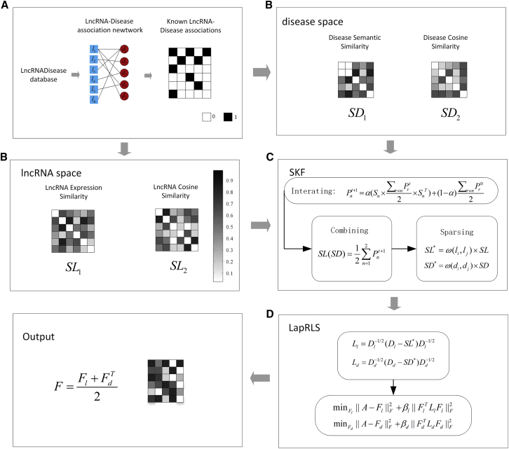 Figure 1