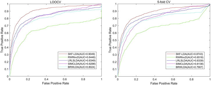 Figure 7