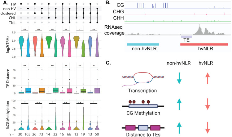 Figure 2: