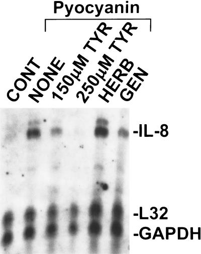 FIG. 8