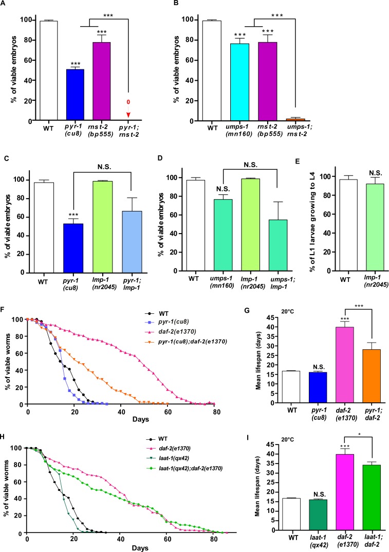 Figure 6—figure supplement 1.