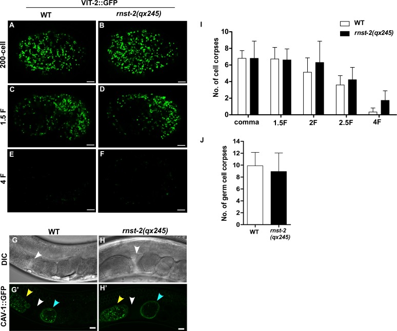 Figure 3—figure supplement 2.