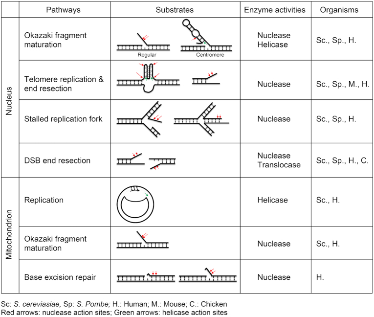 graphic file with name gkz1101tbl1.jpg