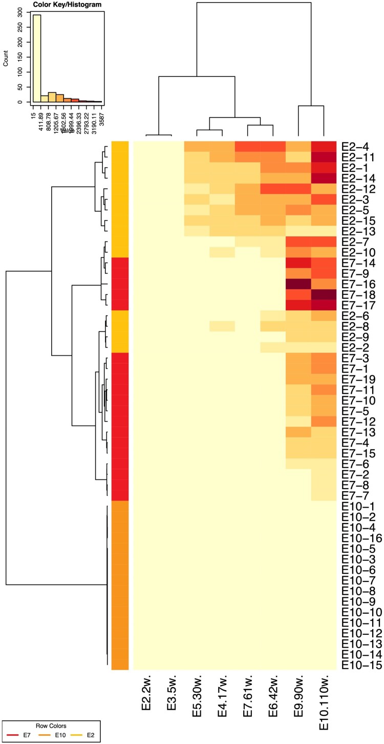 Figure 6.