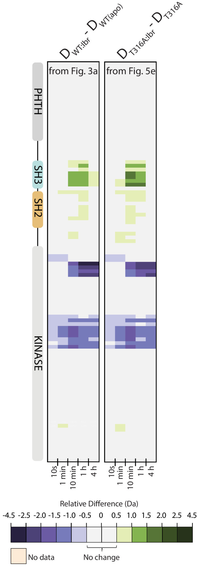 Figure 8—figure supplement 1.