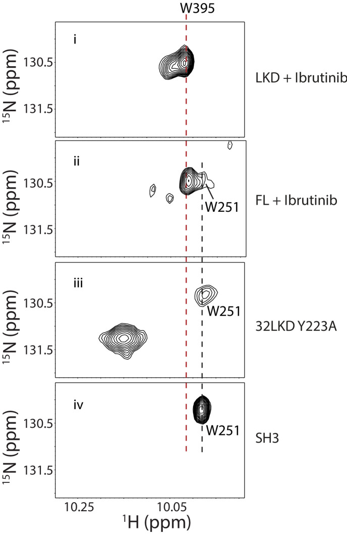 Figure 2—figure supplement 2.