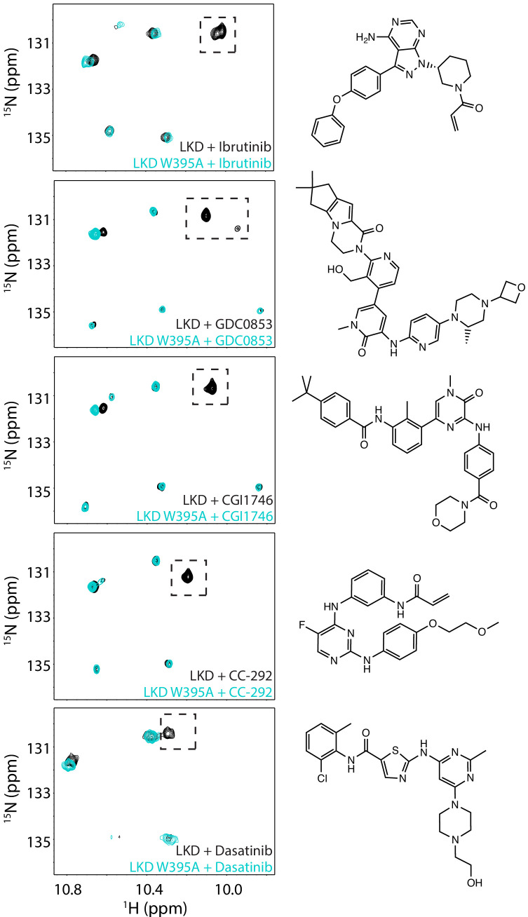 Figure 2—figure supplement 1.