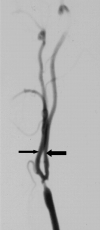 F<sc>ig</sc> 7.