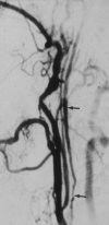 F<sc>ig</sc> 1.