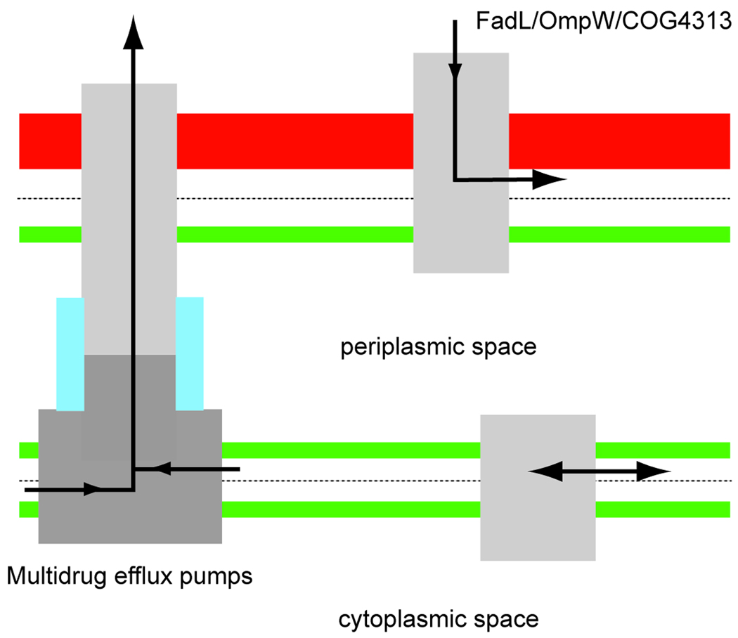 Scheme 5