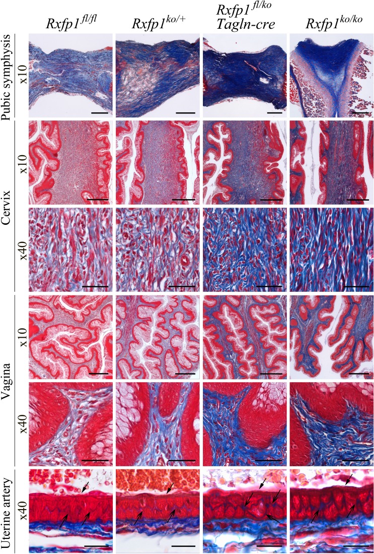 FIG. 6