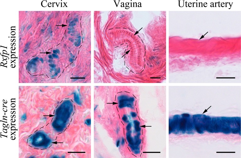 FIG. 3